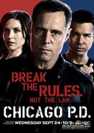 Cảnh Sát Chicago (Phần 2)