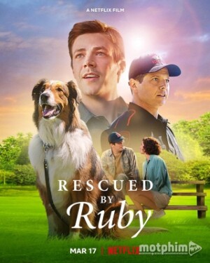 Chú Chó Cứu Hộ Ruby