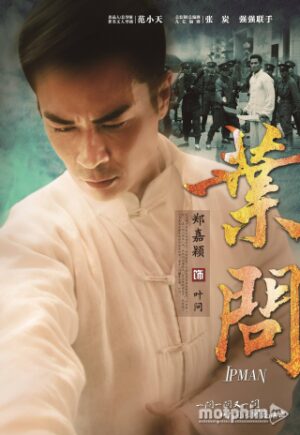 Diệp Vấn 2013