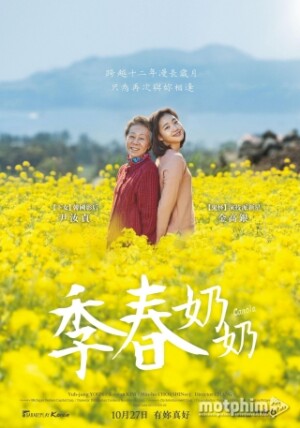 Hoa Cải Vàng