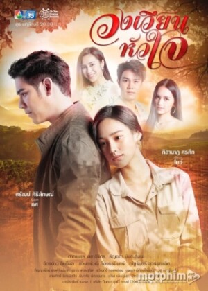 Lối Rẽ Con Tim