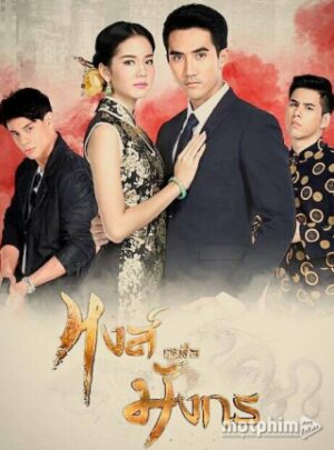 Thiên Nga Cốt Rồng