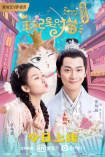 MIÊU MIÊU VƯƠNG PHI