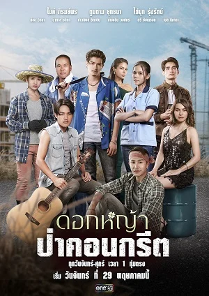 Hoa Dại Giữa Thành Phố