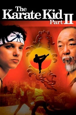 Cậu bé Karate 2