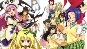 To Love-Ru Motto
