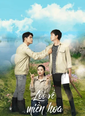 Lối Về Miền Hoa Lối Về Miền Hoa